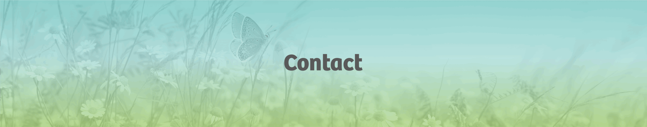 contactez